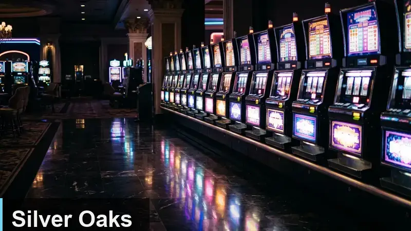Crypto Deposits and Withdrawals at Silver Oaks